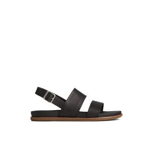 Waveside PLUSHWAVE? Backstrap Sandal
