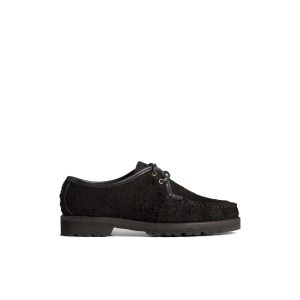 Captain's Oxford by Chris Echevarria