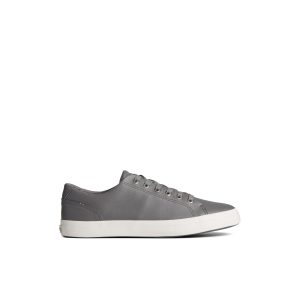 Striper II LLT Leather Sneaker